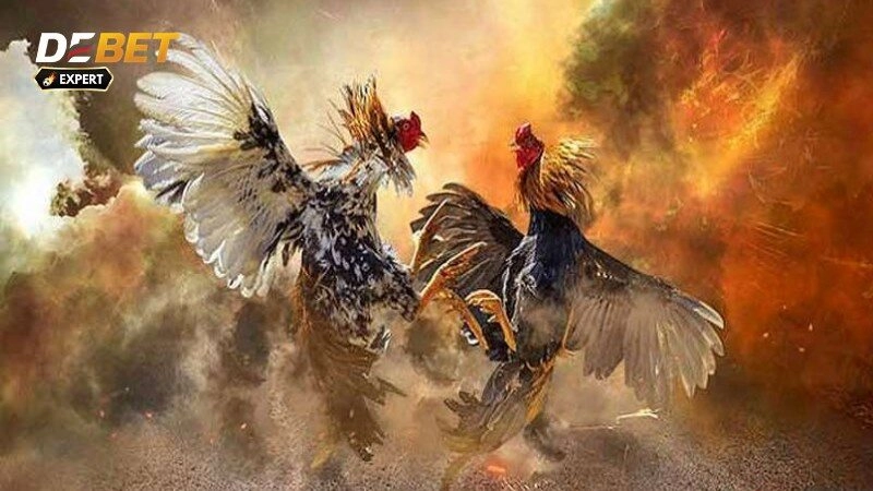 Đá Gà Trực Tiếp Casino