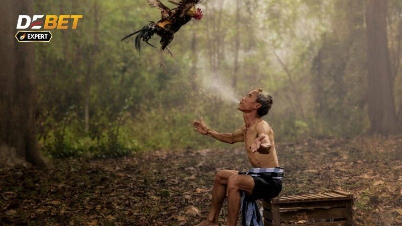 Đá Gà Casino: Thỏa Mãn Đam Mê, Rinh Ngay Tiền Thưởng!